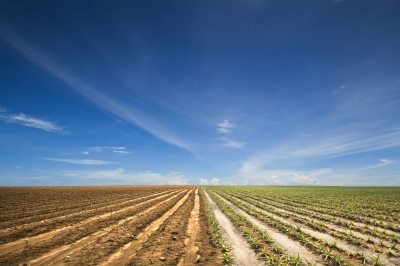 WasteWater Tracker calculates the amount of specific chemicals applied to farm fields from wastewater.